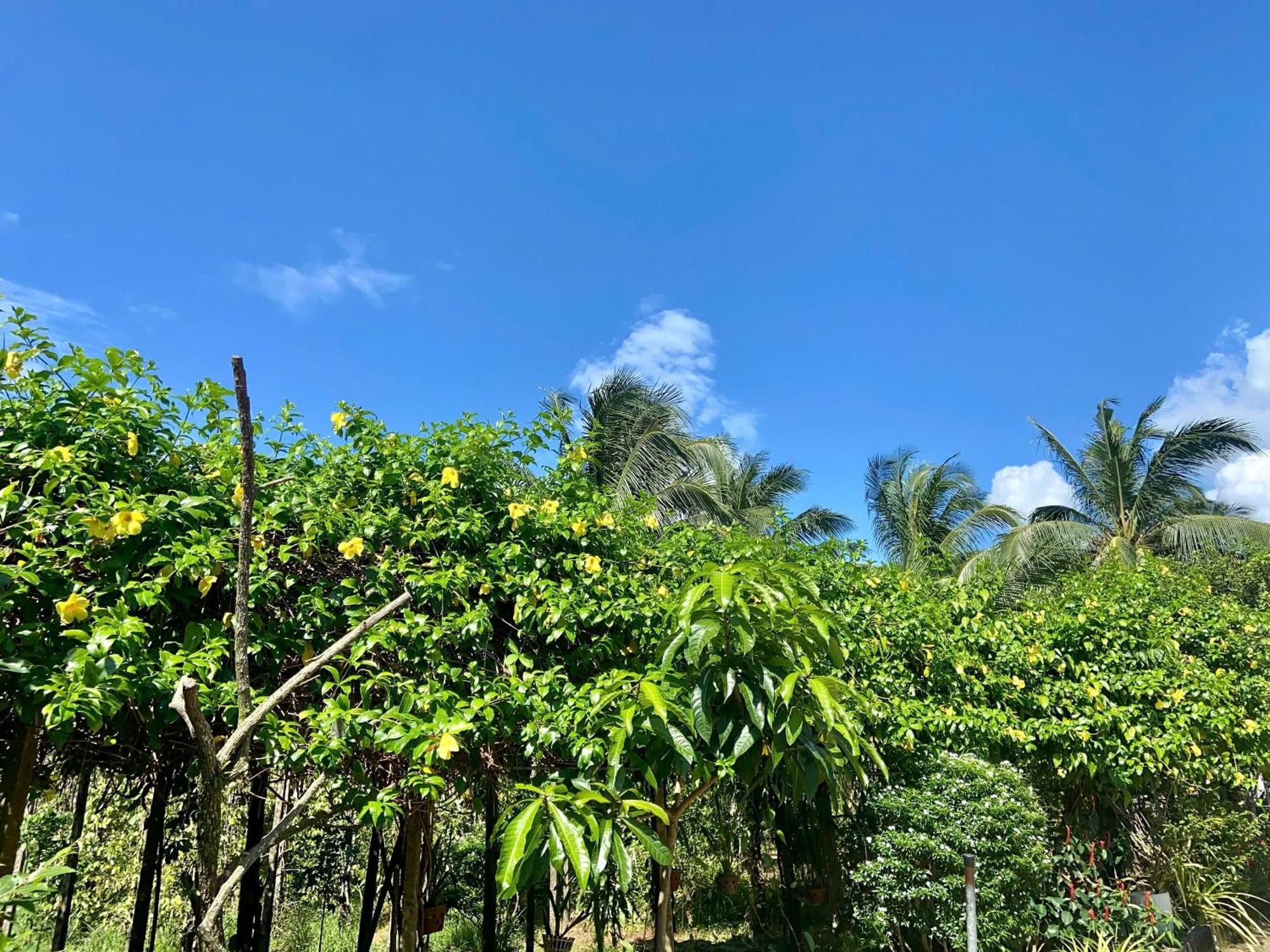 דואונג דונג Y Nghia Bungalow Ong Lang מראה חיצוני תמונה